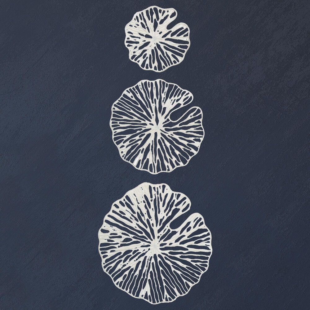 Creative Coop 11.5", 16", 20" Paper and Metal Coral Wall Sculpture in White (Set of 3), , large