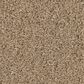 Anderson Tuftex Elegant Beauty Carpet in Biscotti, , large