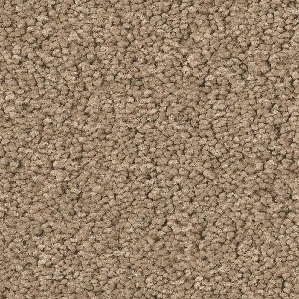 Anderson Tuftex Elegant Beauty Carpet in Biscotti, , large