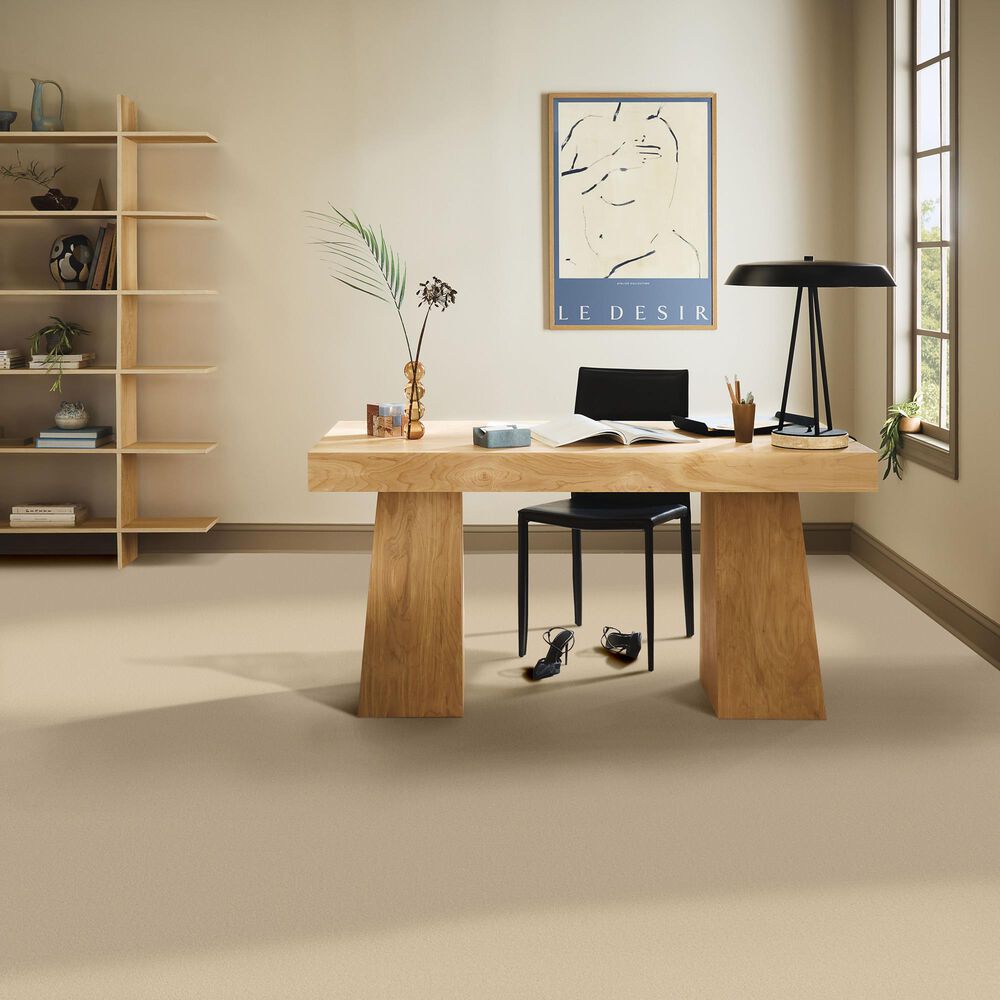 Anderson Tuftex Finery Carpet in Ecru, , large