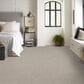 Philadelphia Delicate Feel I Carpet in Chic Taupe, , large