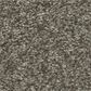Shaw You Got This III Carpet in Rerooted Nature, , large