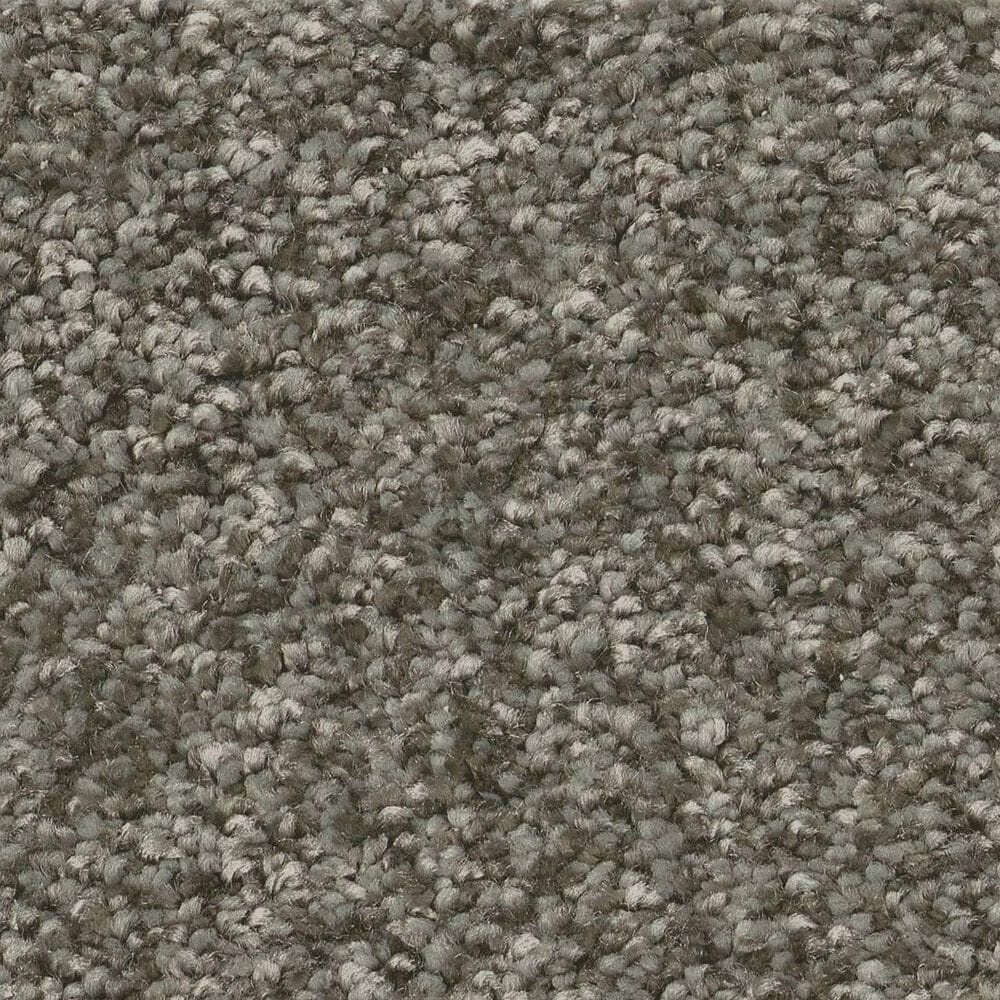 Shaw You Got This III Carpet in Rerooted Nature, , large