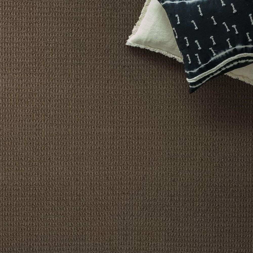 Shaw Crystal Cove Carpet in Shitake, , large