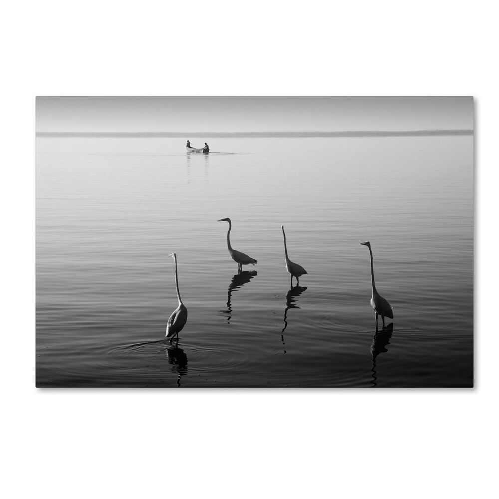 Timberlake Moises Levy "4 Herons and Boat" Canvas Art, , large