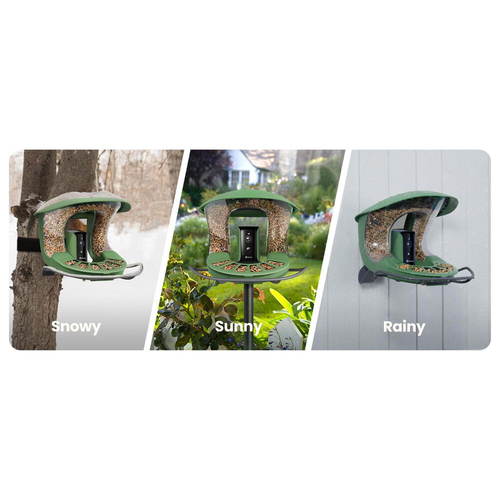 Birdfy Bird Feeder 2 with Smart Camera and Solar Panel in Green, , large