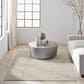 Nourison Abrash 5"3" x 7"3" Grey Area Rug, , large