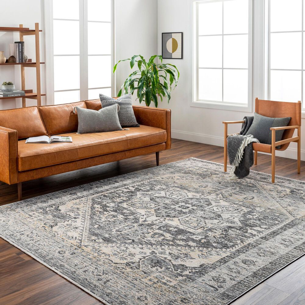 Surya Chicago CHG2316 7&#39;10&quot; x 10&#39; Light Beige, Charcoal, Slate, Black, Blue,Taupe Area Rug, , large