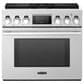 Signature Kitchen Suite 36" Dual-Fuel Professional Range in Stainless Steel, , large