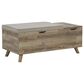 Ashley Gerdanet Storage Bench in Light Brown, , large