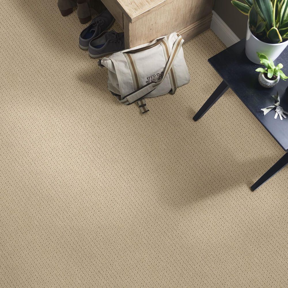 Anderson Tuftex San Lucas Carpet in Golden, , large