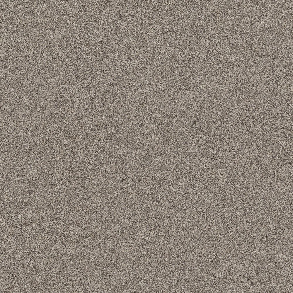 Shaw Affirmation I Carpet in Bistro, , large