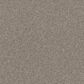 Shaw Affirmation I Carpet in Bistro, , large