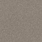 Shaw Affirmation I Carpet in Bistro, , large