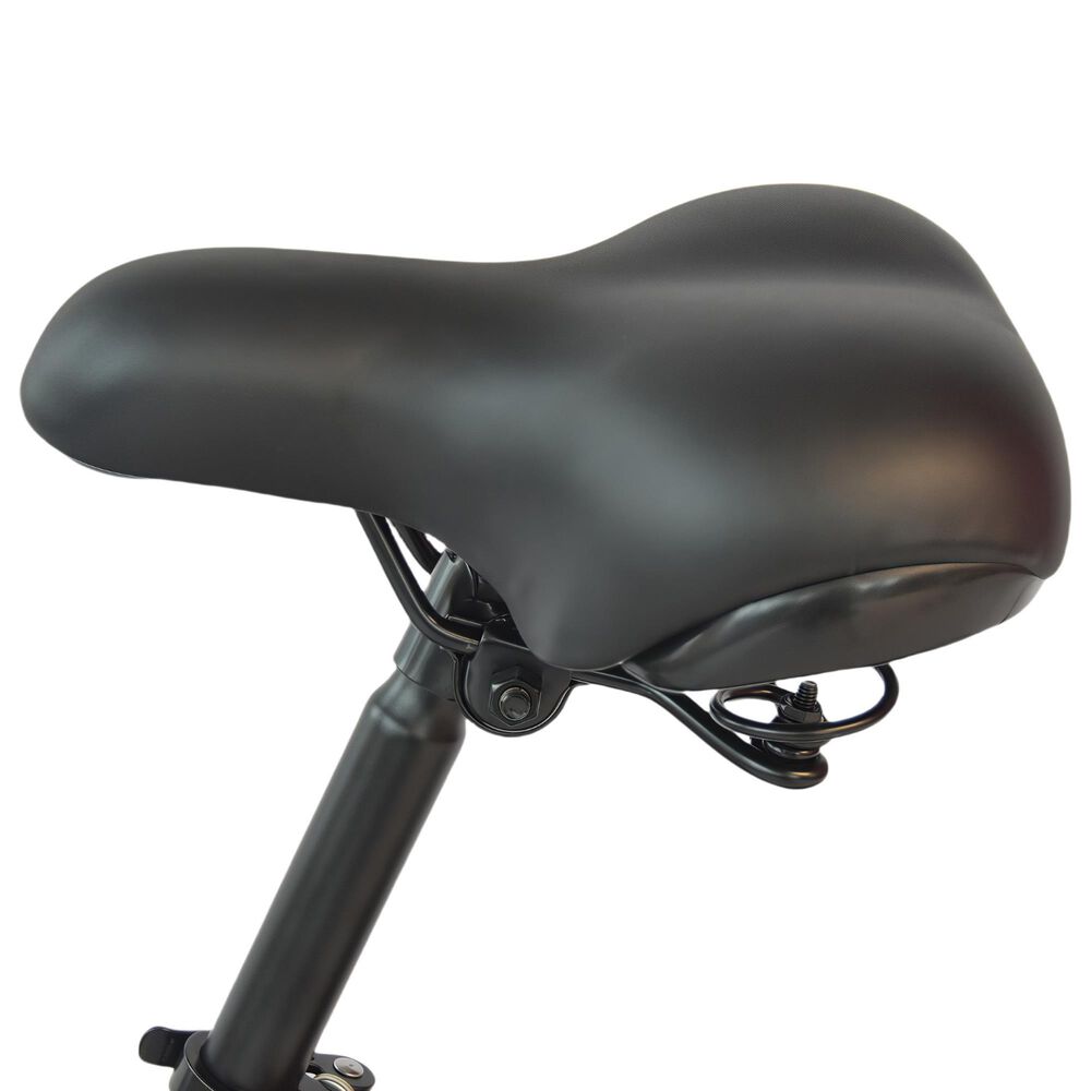 Swift E-Bikes BX Folding Electric Bike in Black, , large