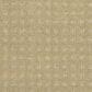 Philadelphia Alluring Disposition Carpet in Warmth, , large