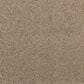 Karastan Subtle Shades Carpet in Carnation, , large