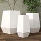 Maple and Jade Hexagon Planter in Satin White (Set of 2), , large