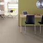 Shaw Well Grounded II 15" Carpet in Dreamy, , large