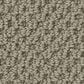 Anderson Tuftex Gracious Carpet in Mocha, , large