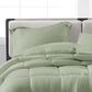 Pem America Cannon Solid 2-Piece Twin/Twin XL Comforter Set in Green, , large