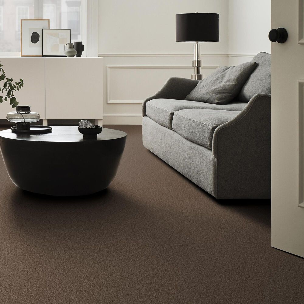 Shaw Tonal Comfort I Carpet in Cliff Hiking, , large