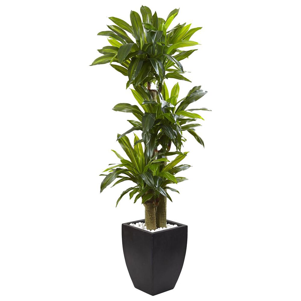 Nearly Natural Inc 5.5" Corn Stalk Dracaena with Black Wash Planter, , large
