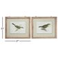 Maple and Jade 22" x 27" Birds Framed Wall Art in Green and White (Set of 2), , large
