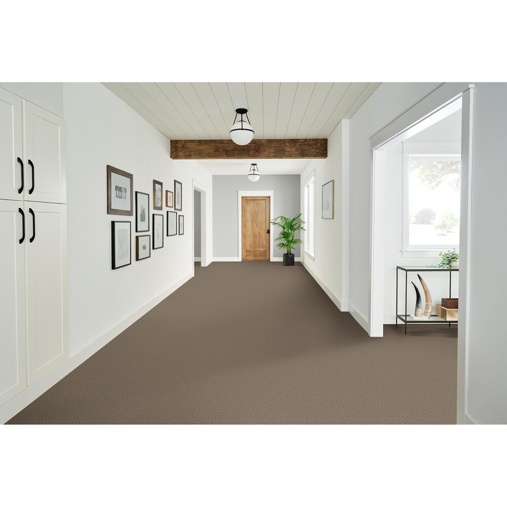 Phenix Bari Carpet in Amphitheatre, , large
