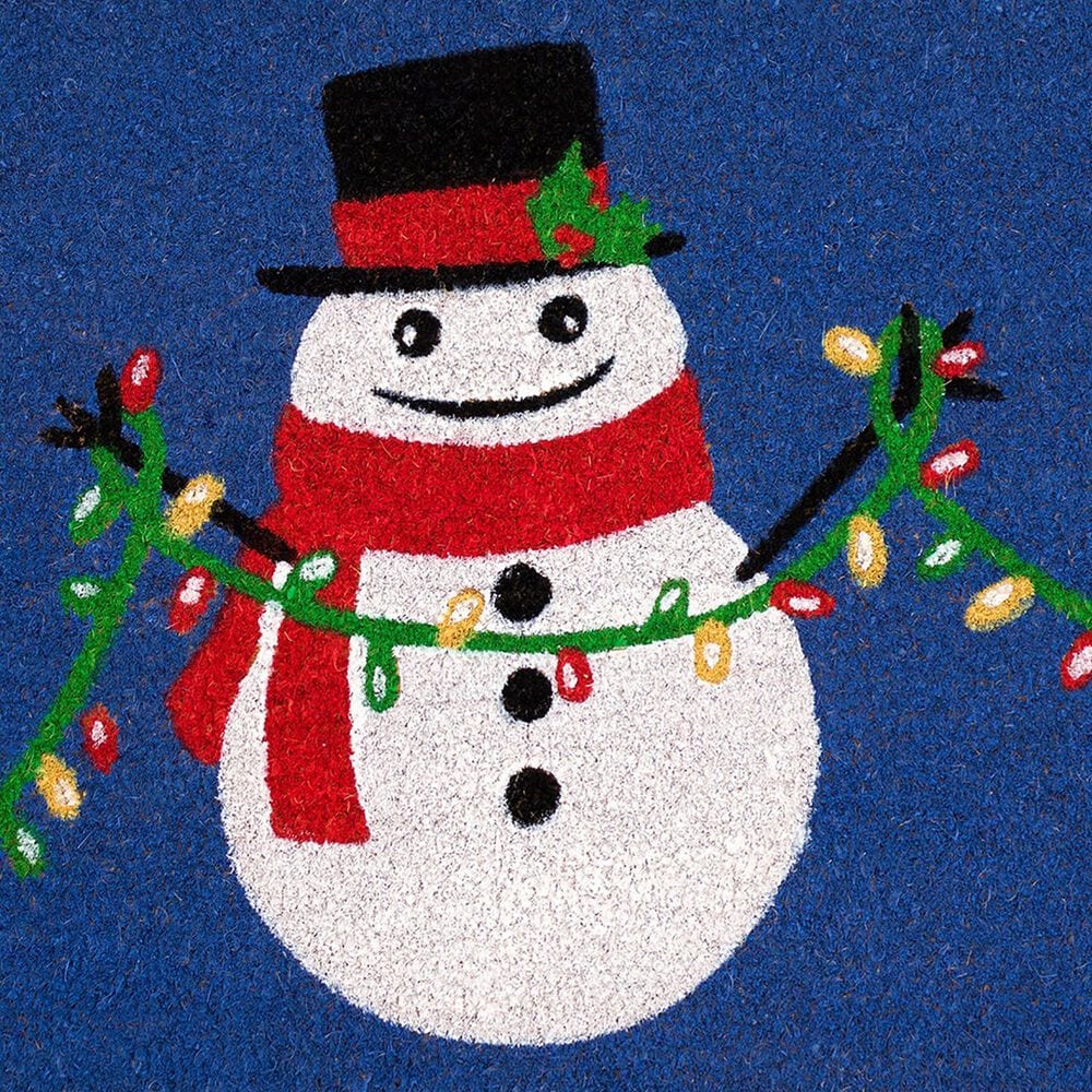 Trans-Ocean Import Natura Frosty and Bright 1&#39;6&quot; x 2&#39;6&quot; Navy Outdoor Door Mat, , large