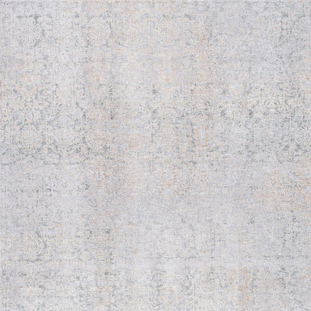 Safavieh Webster WBS312G 4&#39; x 6&#39; Grey and Beige Area Rug, , large