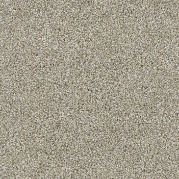 Dixie Home Riverbend Carpet in Opal, , large