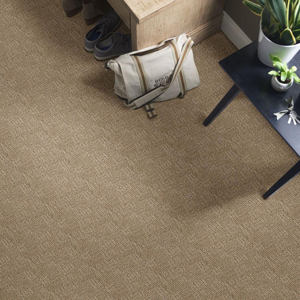 Anderson Tuftex Loredo Carpet in Bay Shore, , large
