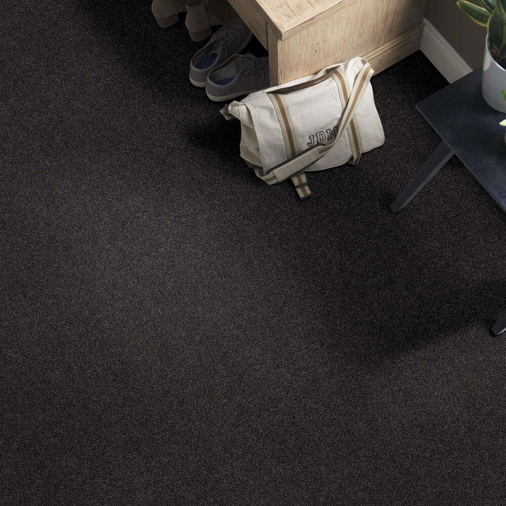 Anderson Tuftex Caress Cozy Harbor I Carpet in Wrought Iron, , large