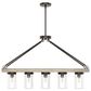 Hunter Devon Park 5-Light Linear Chandelier in Onyx Bengal and Barnwood, , large