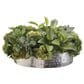 Allstate Floral and Craft Inc 9" Succulents/Kala Plant in Green, , large