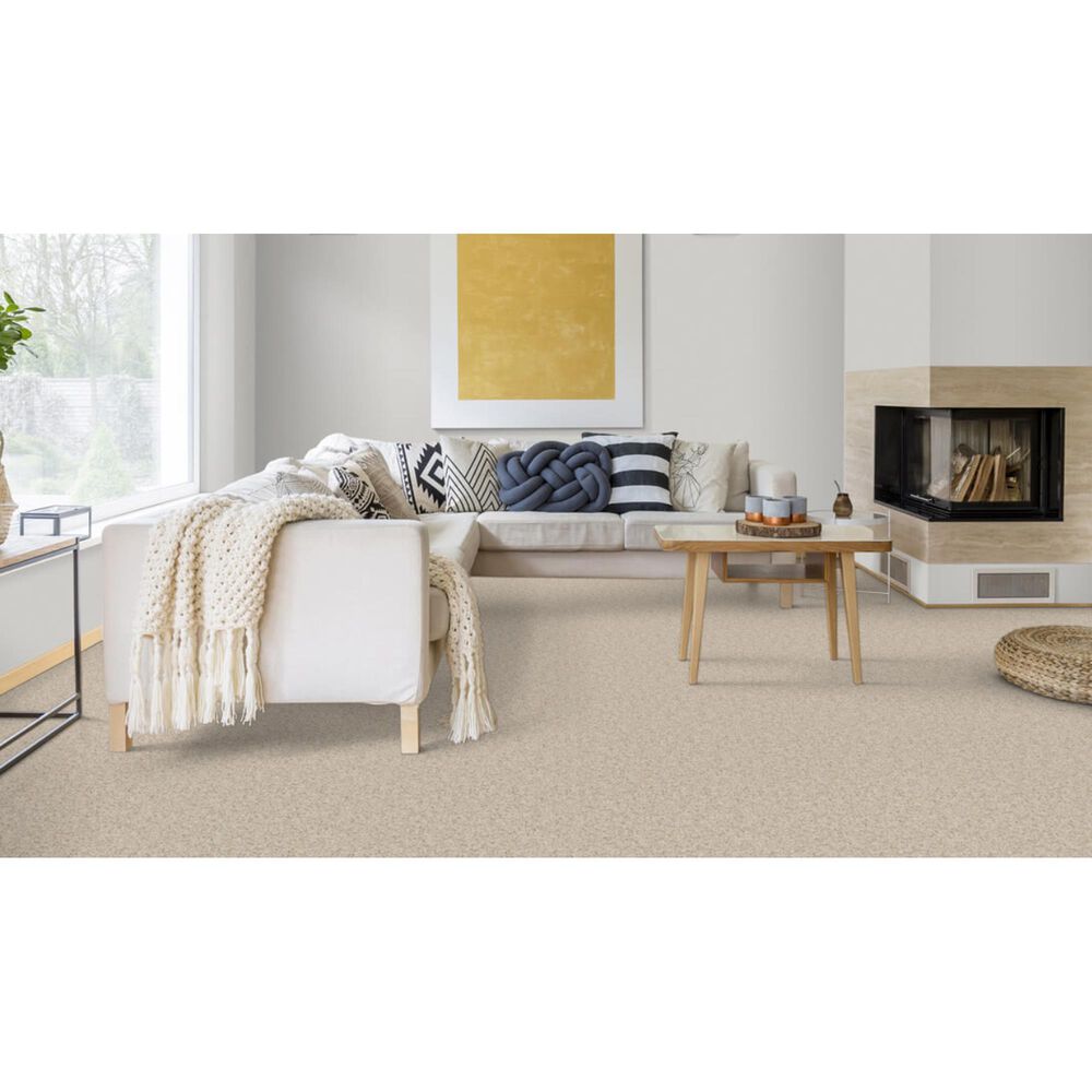 Dixie Home Bella Carpet in Pet, , large