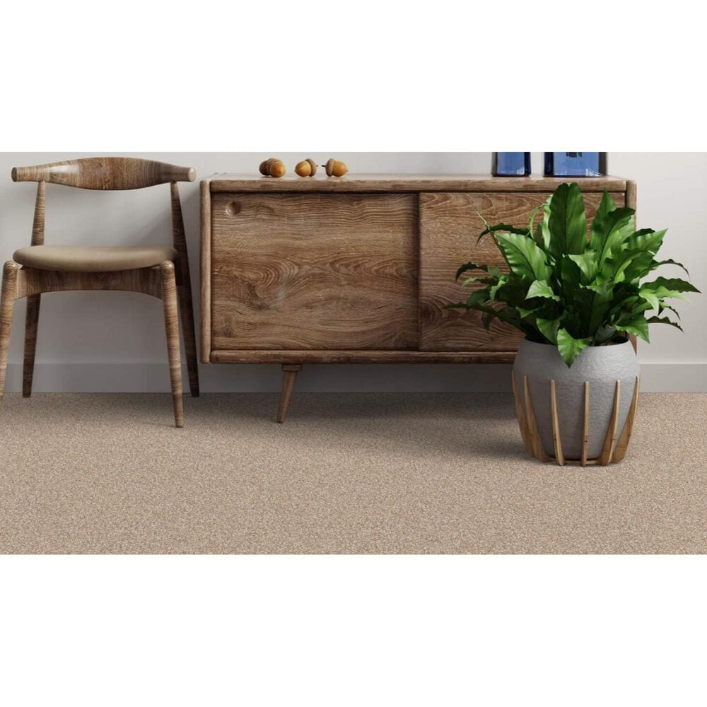 Dixie Home Bella Carpet in Fetch, , large