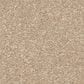 Shaw Easy Spirit III 15" Carpet in Captiva, , large