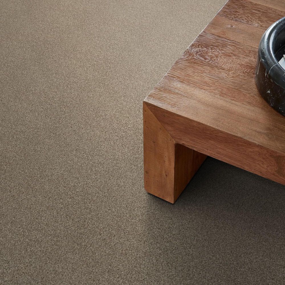 Shaw Tonal Comfort I Carpet in Camping Trip, , large