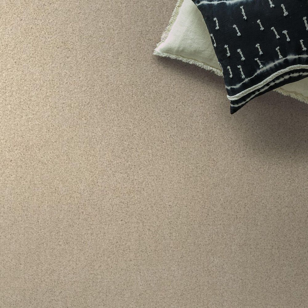 Shaw Phenomenal Carpet in Winter White, , large
