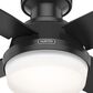 Hunter Dempsey Low Profile 44" Ceiling Fan with LED Lights in Matte Black, , large
