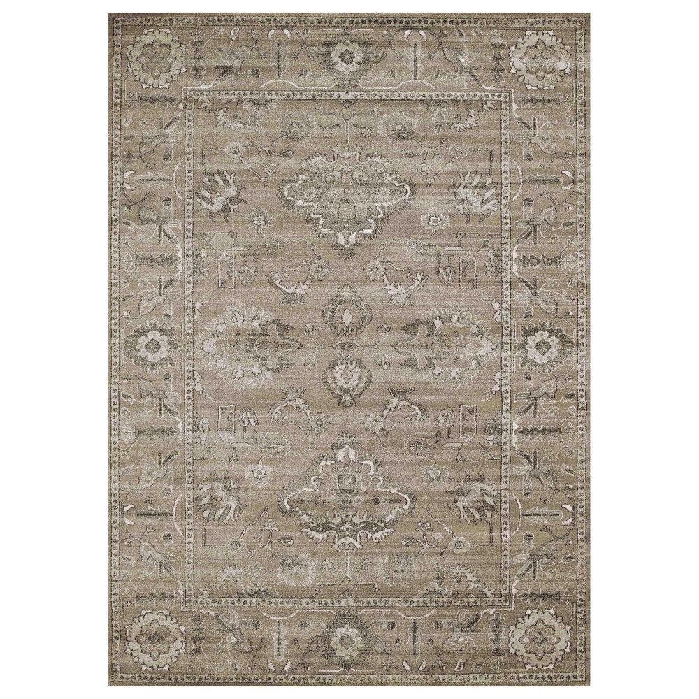 Radici USA Colloseo 3562 3'3" x 4'11" Beige Area Rug, , large