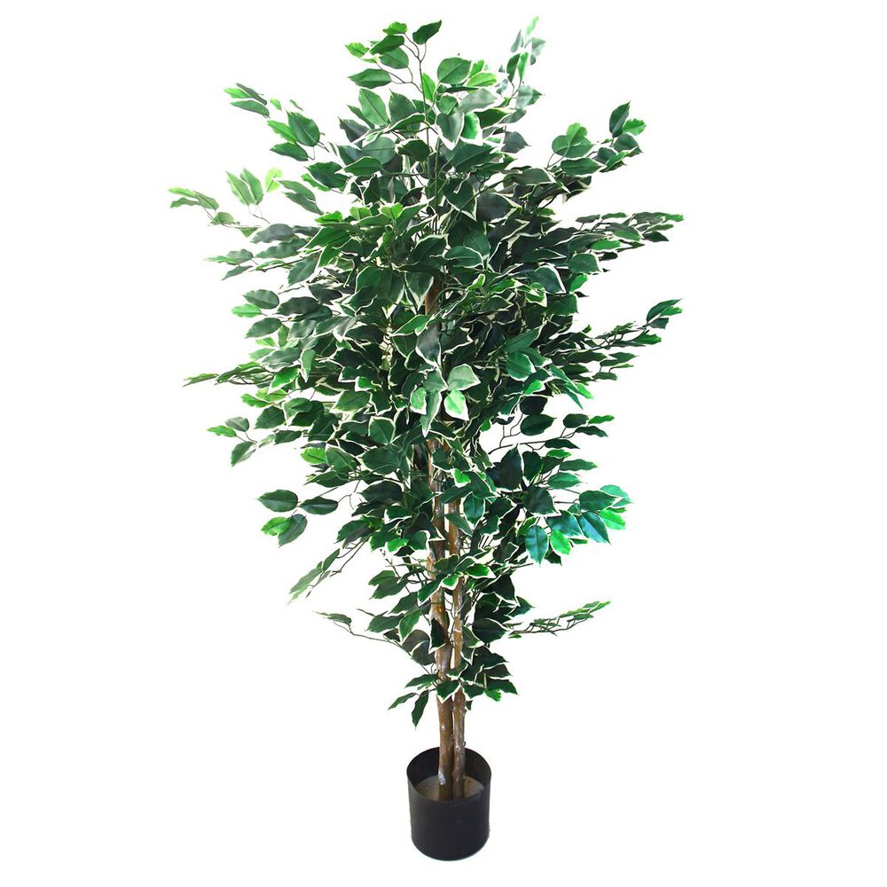 Timberlake 5" Julian Ficus Artificial Tree in Green, , large