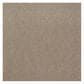 Shaw Emphatic II 30 Carpet in Timeless, , large