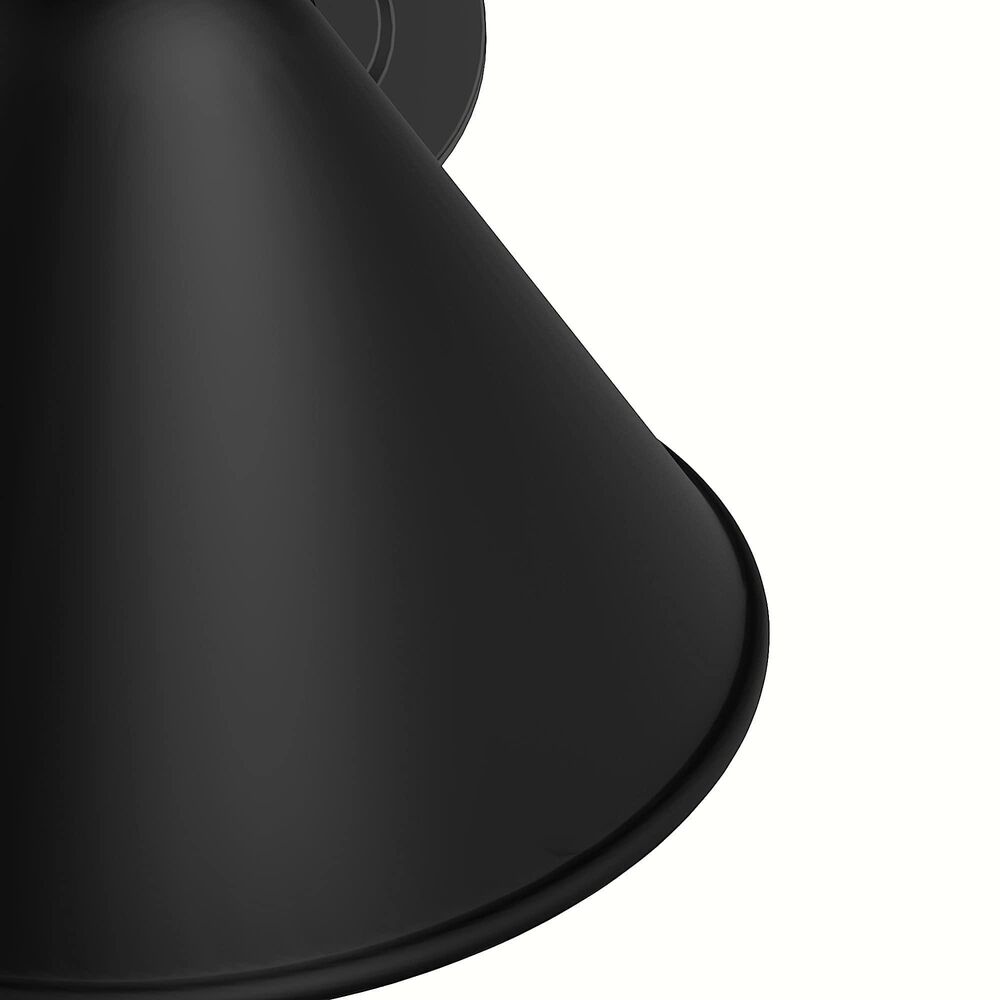 Hunter Cassius 1-Light Outdoor Medium Wall Light in Matte Black, , large