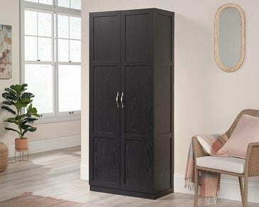 Sauder Select Collection 2-Door Storage Cabinet with Shelves in Black, , large