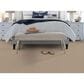 Masland Sandy Beach Carpet in Hideaway, , large