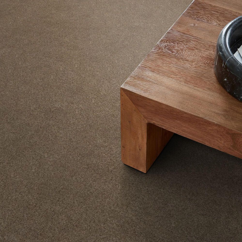 Anderson Tuftex West Peak Carpet in Stone Age, , large