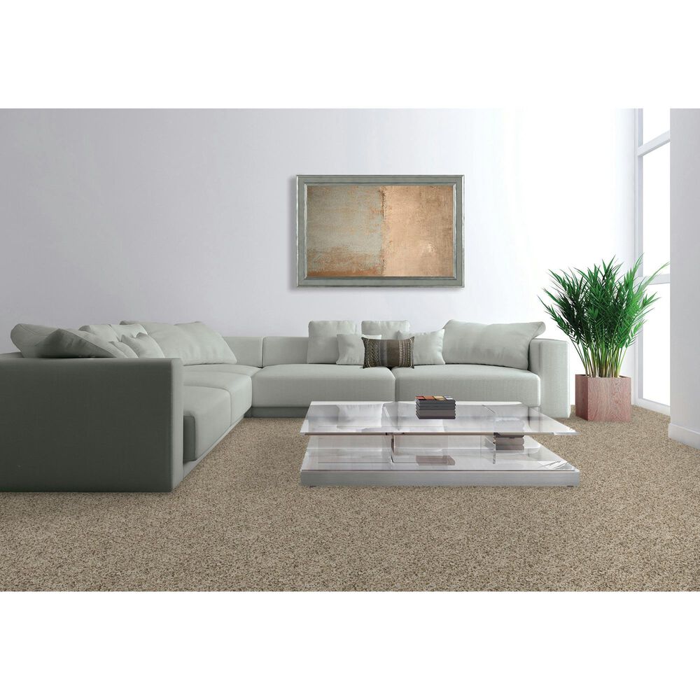 Mohawk Raise The Woof I Carpet in Frosty Spice, , large